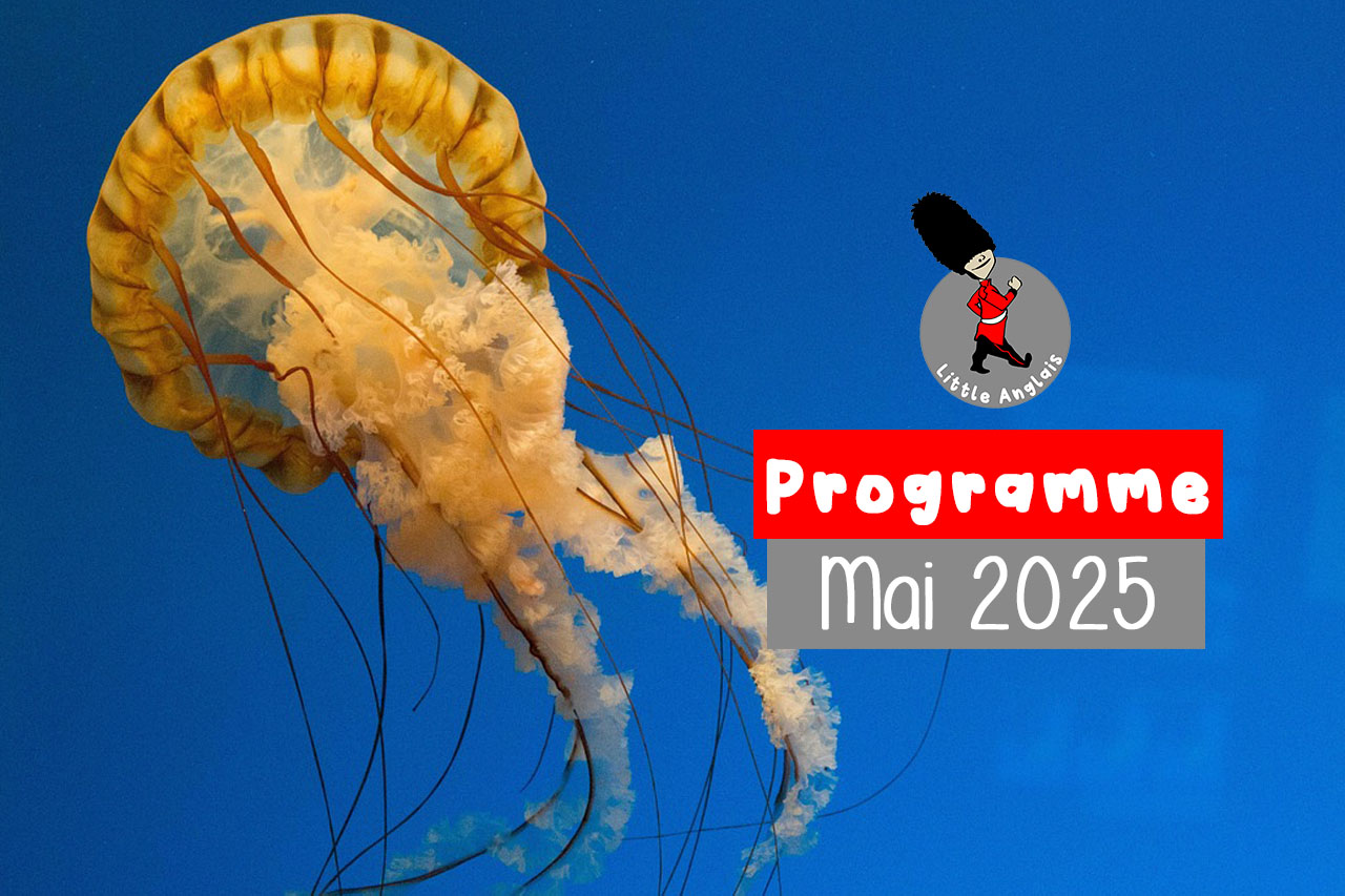 Programme mai 2025 little anglais lorient cours et ateliers anglais enfants et adolescents bretagne morbihan